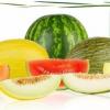 Melonite segu naturaalne aroomõli